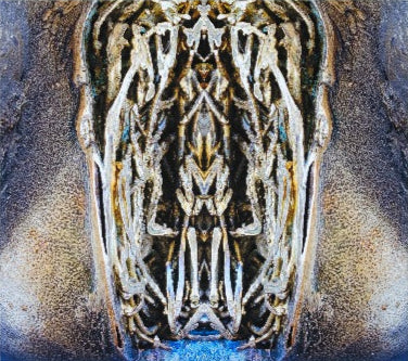 Creature