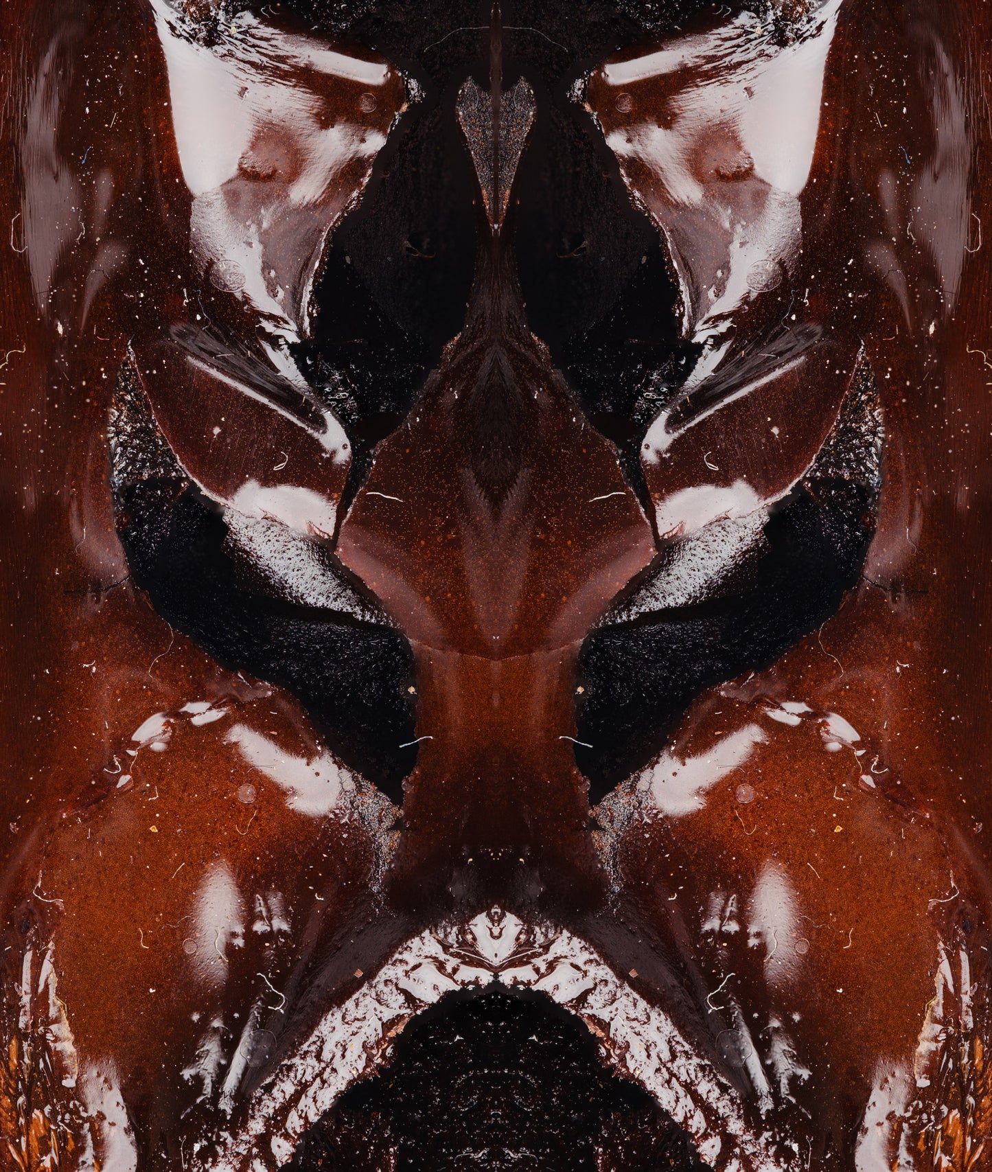 ANT18496