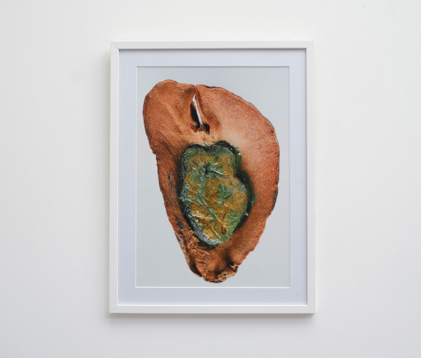 Print of Natural Kolanut with Putty and Enamel Paint