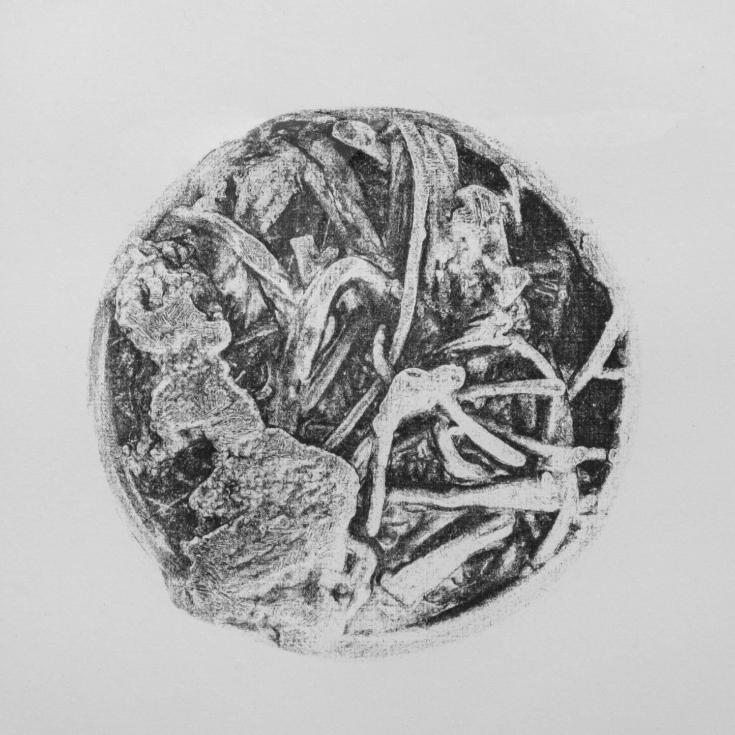 Photo Etched Print (More Than Meets the Eye)