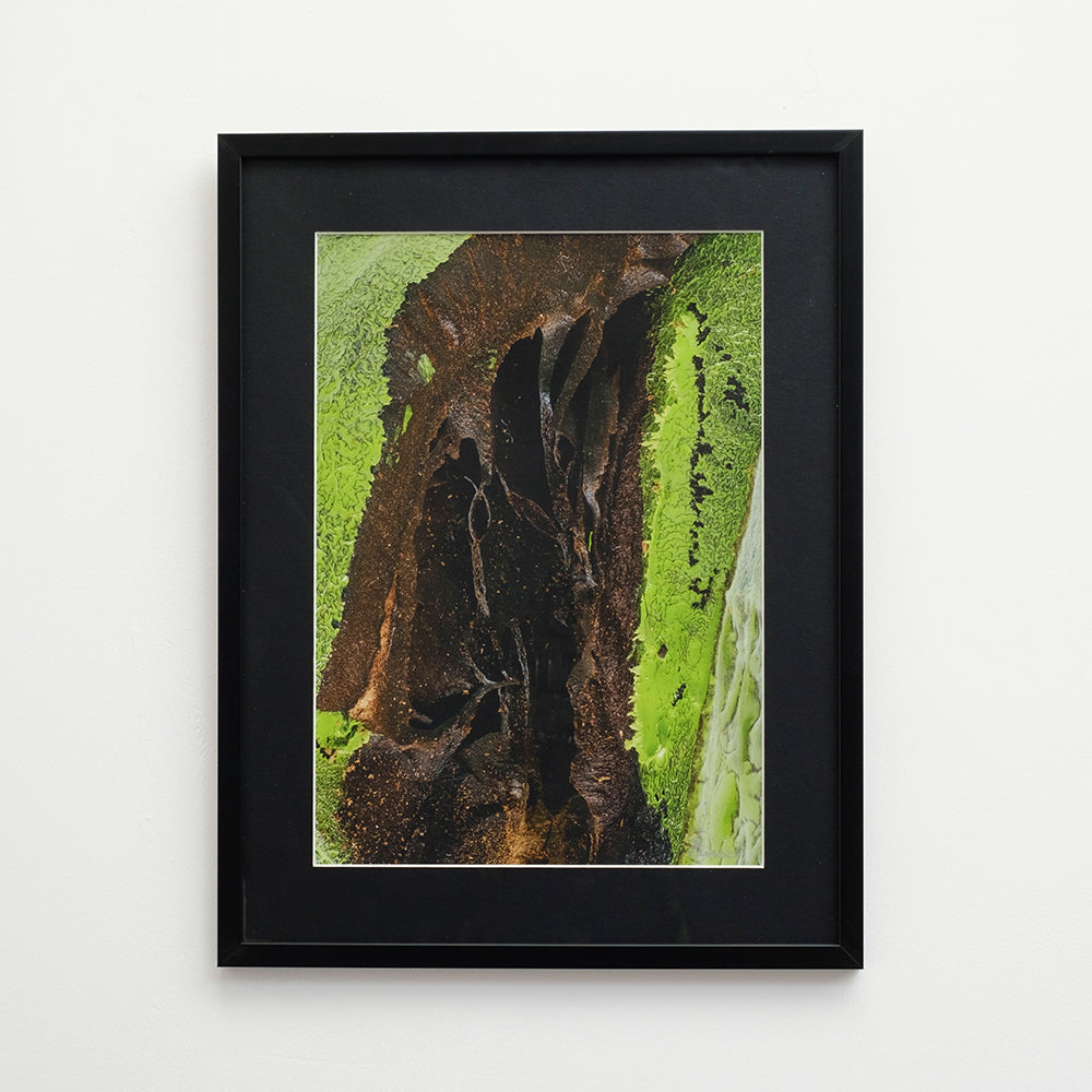 Nature 2