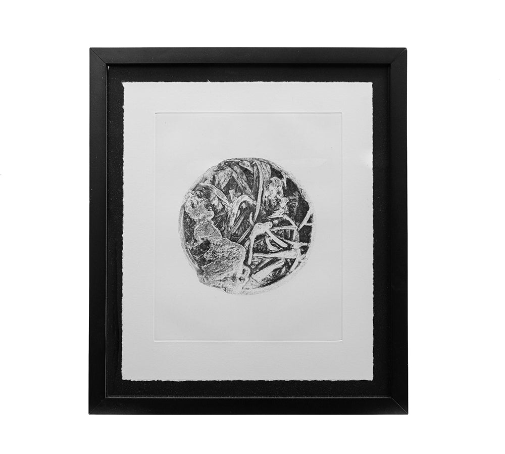 Photo Etched Print (More Than Meets the Eye)