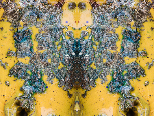 ANT15909