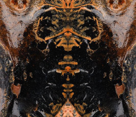 ANT17386