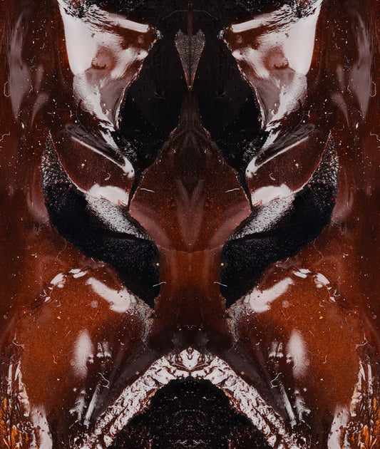 ANT18496