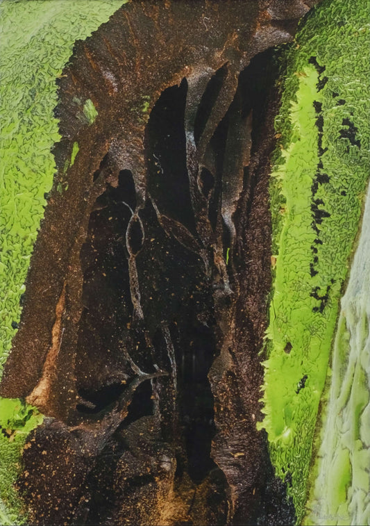 Nature 2