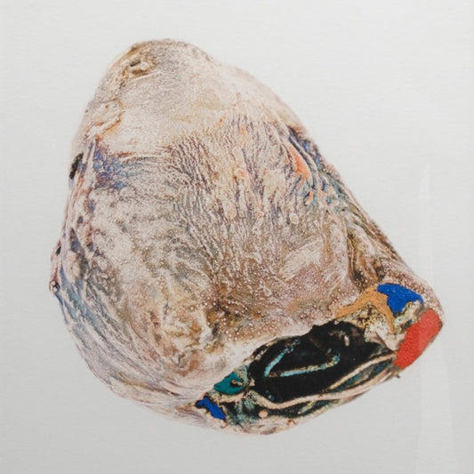 Cocoon