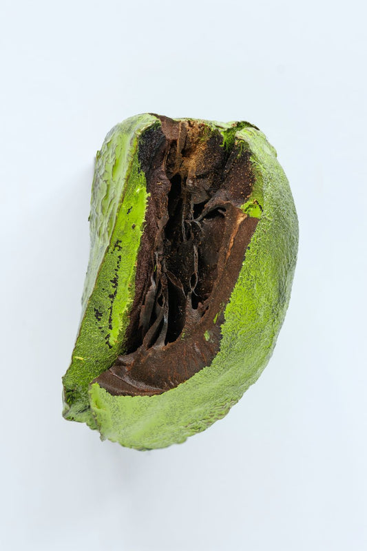 Nature 1
