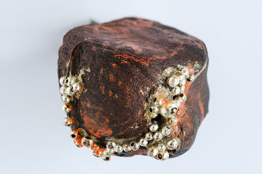 Print of Kolanuts with Sterling Silver Beads, Partially Painted with Orange Enamel Paint