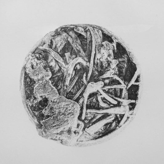 Photo Etched Print (More Than Meets the Eye)