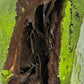 Nature 2