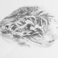 Photo Etched Print (Mask)