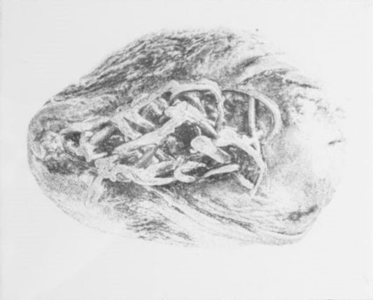 Photo Etched Print (Mask)